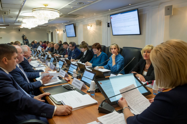 Расширенное заседание Комитета Совета Федерации по науке, образованию и культуре (фото: council.gov.ru)