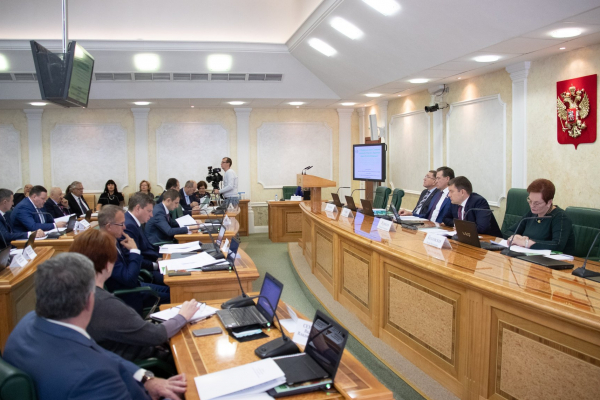 Расширенное заседание Комитета СФ по бюджету и финансовым рынкам (фото: council.gov.ru)