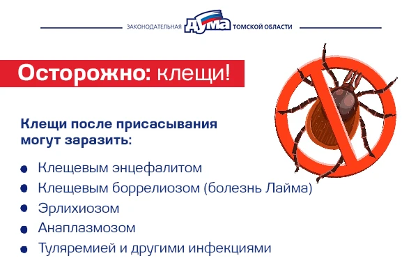 Изображение к новости 'Сезон активности клещей открыт: памятка для жителей региона'. 