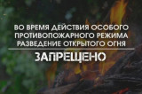 До 30 июня в Томской области введен особый противопожарный режим