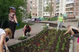 Областные депутаты выступили за сохранение федерального финансирования на благоустройство дворов
