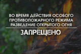 Изображение к новости 'Разведение огня запрещено: в  регионе действует особый противопожарный режим'. фото: МЧС Томской области